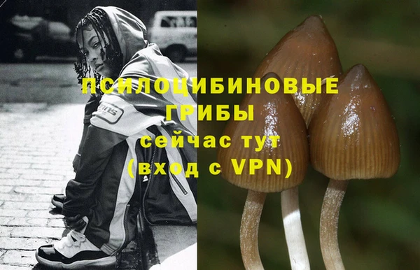 прущая мука Михайловка