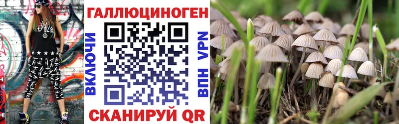 сколько стоит Ахтырский Псилоцибиновые грибы MAGIC MUSHROOMS